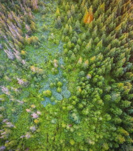 resource-innovations-13