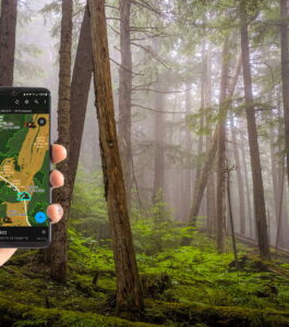 resource-innovations-gis-bottom