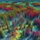 A LiDAR scan over boreal forest stands, with detailed forest stand structures and colorful LiDAR poi